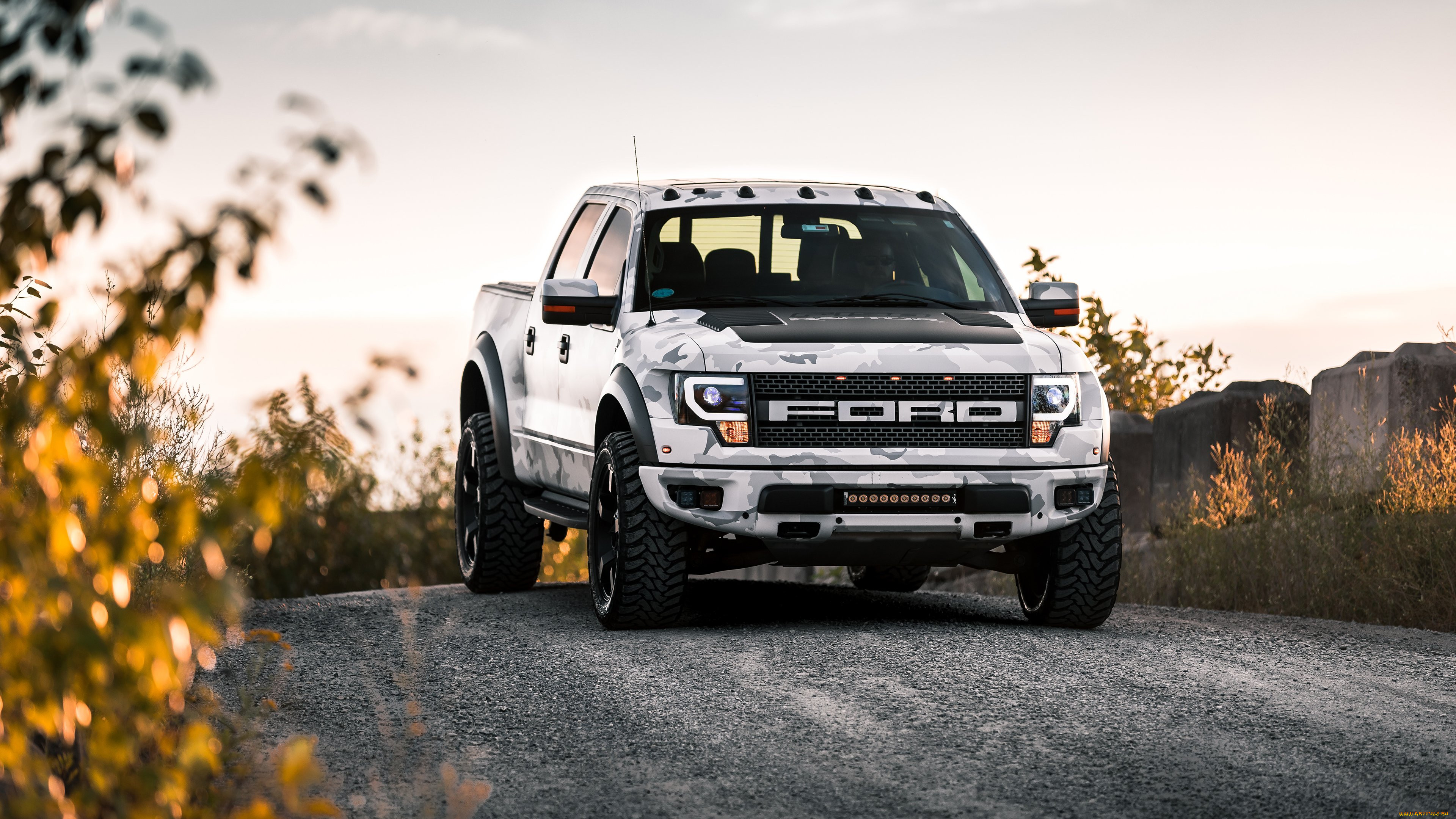 , ford, f-150, raptor